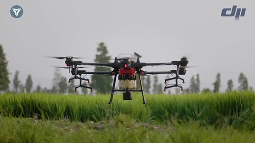 无人机提升农业产量