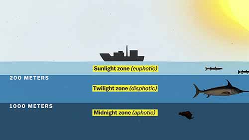 海洋噪音污染问题 2