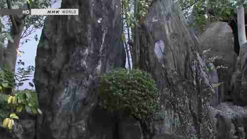 日本京都大仙院