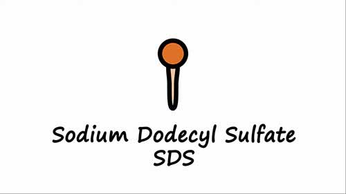 SDS和生物膜