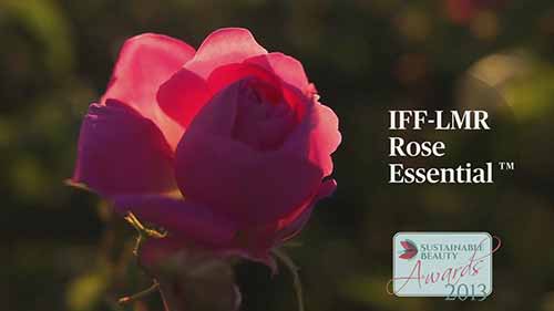 IFF-LMR的收获季：土耳其玫瑰