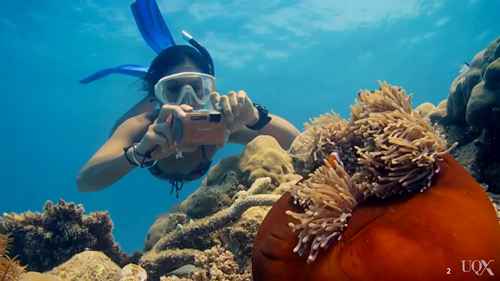 保护区的旅游规划和管理