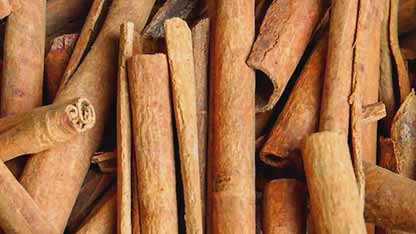 肉桂的不利之处